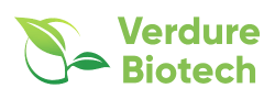 Logo of the Website