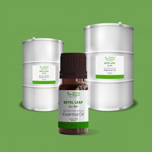 Betel Leaf oil