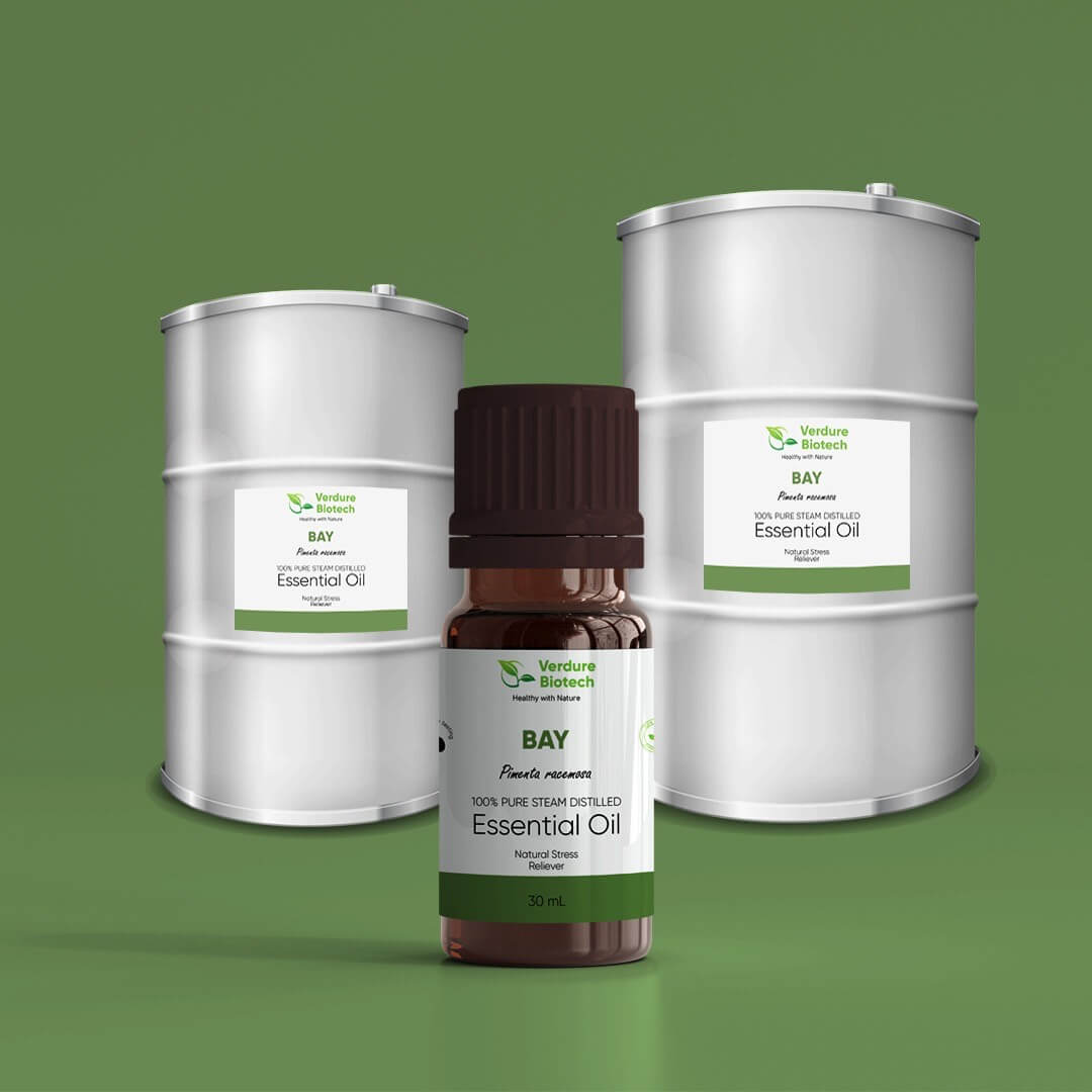 Bay Oil