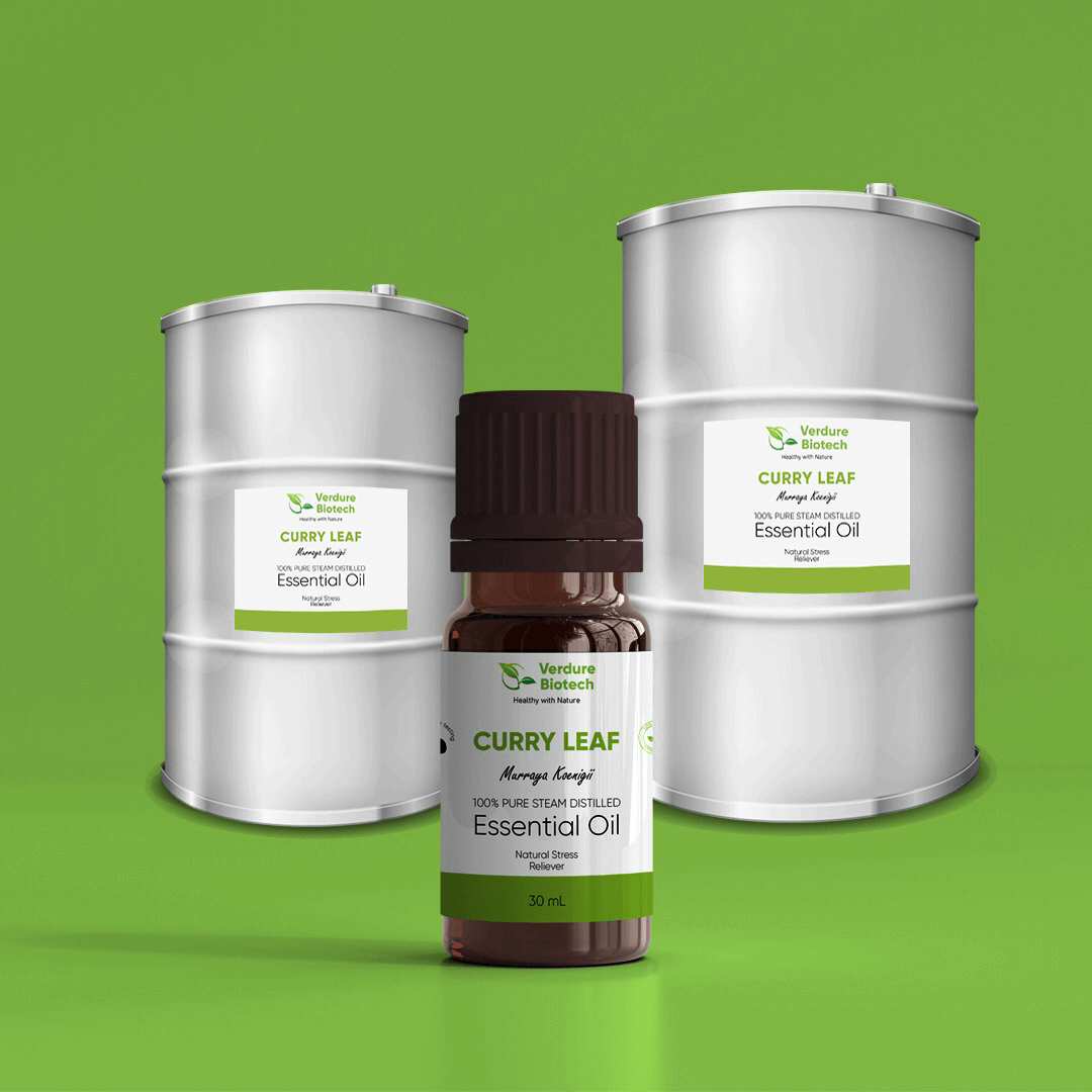 Curry Leaf Oil – Organic