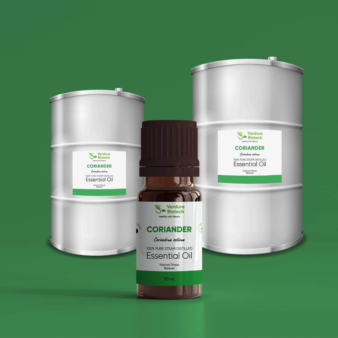 Coriander Oil